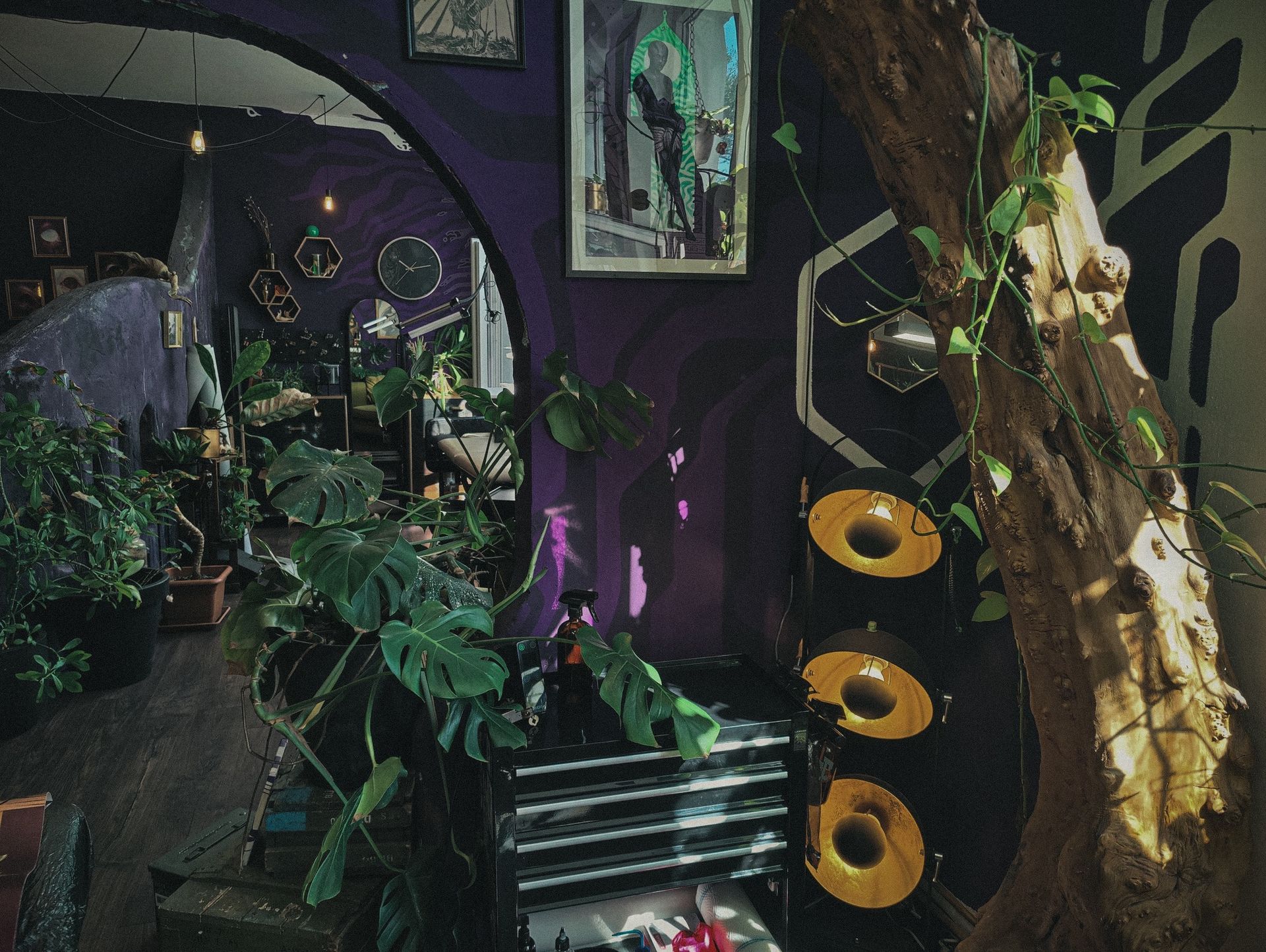 Nachtschatten Studio – Pflanzen und Interieur